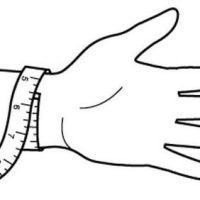 HAND-PEROPHERAL-SHAPE